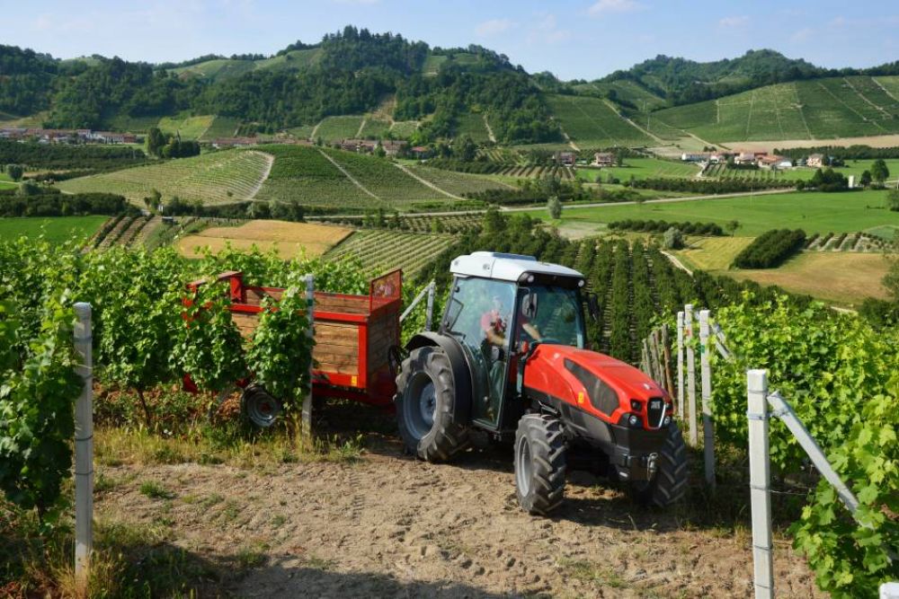 Traktor do vinic a sadů SAME FRUTTETO - Obrázek 1